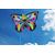 Fotos X-Kites-Schmetterling-2015.jpg